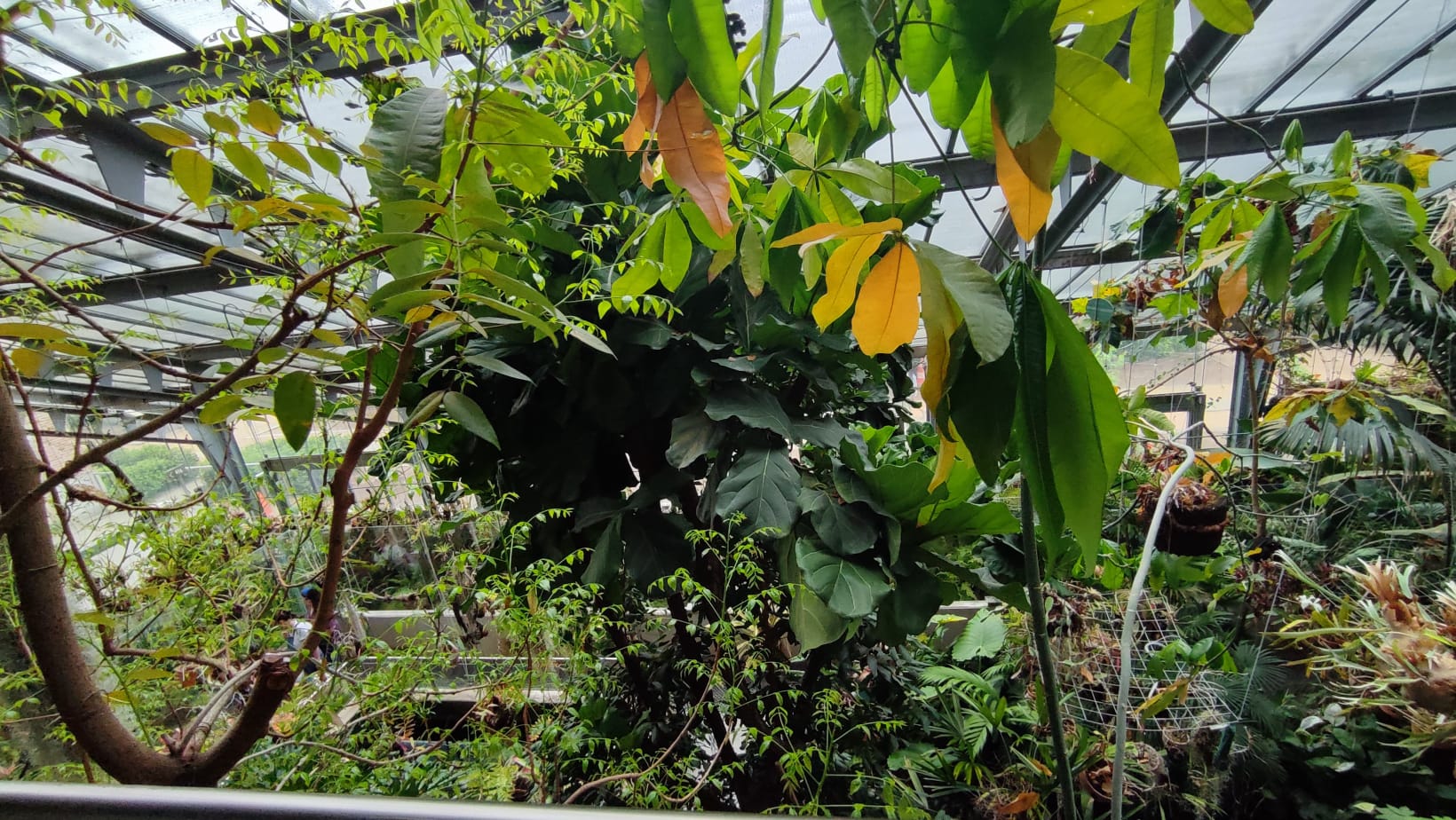IMG-20230430-WA0053